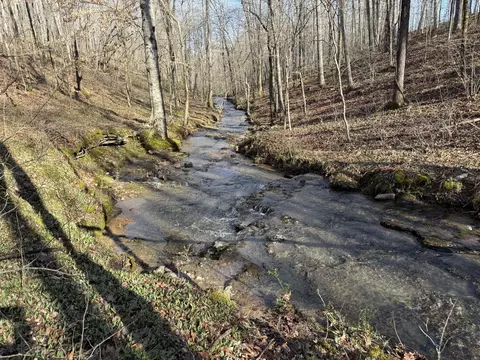 609 Clax Branch Rd, Loretto, TN 38469 photo 31