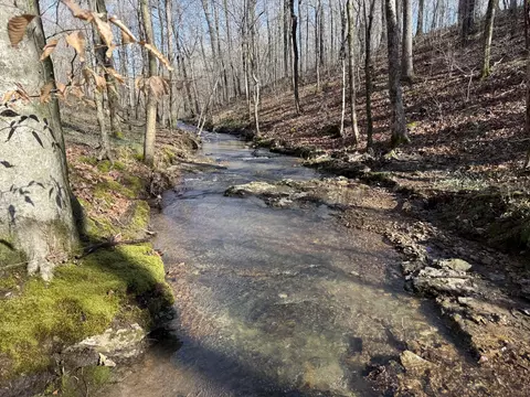 609 Clax Branch Rd, Loretto, TN 38469 photo 33