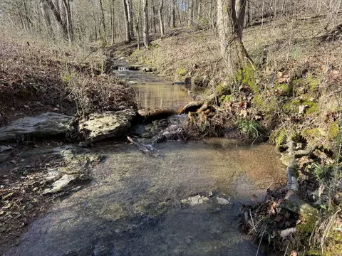 609 Clax Branch Rd, Loretto, TN 38469 photo 29