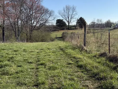 609 Clax Branch Rd, Loretto, TN 38469 photo 19