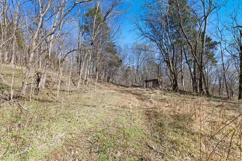 0 Chipman Rd, Bethpage, TN 37022 photo 9