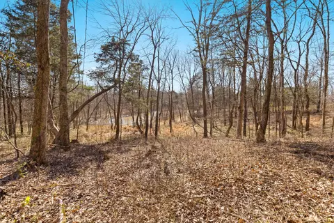 0 Chipman Rd, Bethpage, TN 37022 photo 6