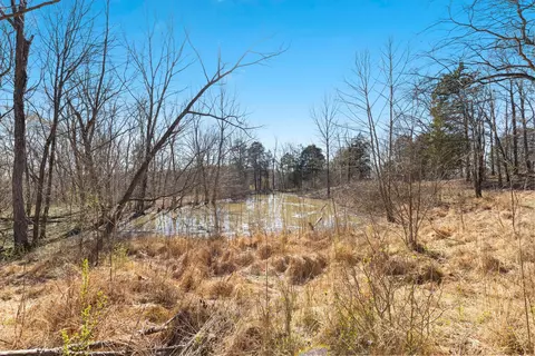 0 Chipman Rd, Bethpage, TN 37022 photo 11