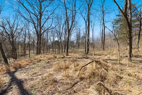 0 Chipman Rd, Bethpage, TN 37022 photo 10