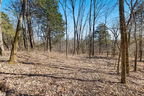 0 Chipman Rd, Bethpage, TN 37022 photo 4
