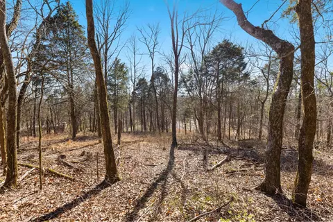 0 Chipman Rd, Bethpage, TN 37022 photo 5