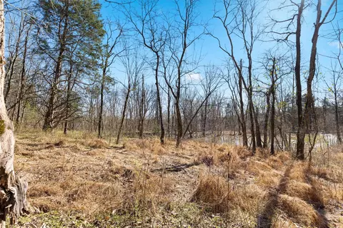 0 Chipman Rd, Bethpage, TN 37022 photo 7