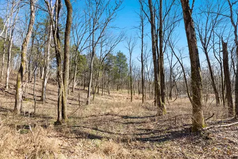 0 Chipman Rd, Bethpage, TN 37022 photo 8