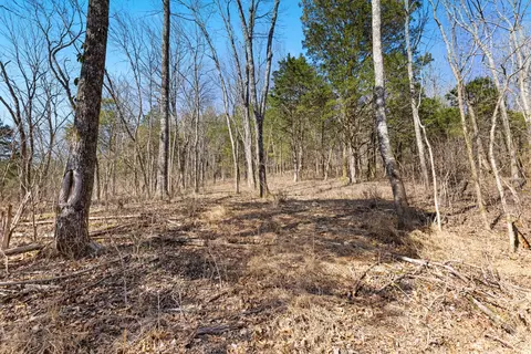 0 Chipman Rd, Bethpage, TN 37022 photo 3