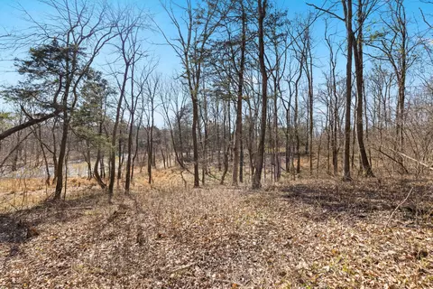 0 Chipman Rd, Bethpage, TN 37022 photo 2