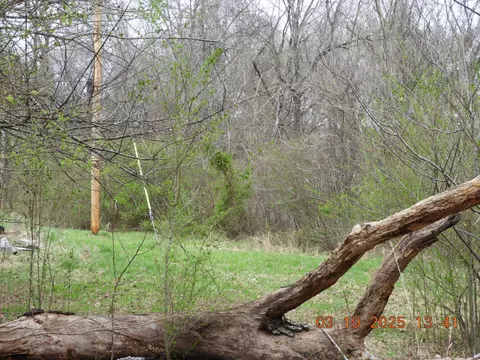 701 Oak Grove Rd, Goodspring, TN 38460 photo 13