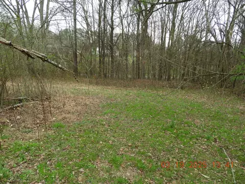 701 Oak Grove Rd, Goodspring, TN 38460 photo 12