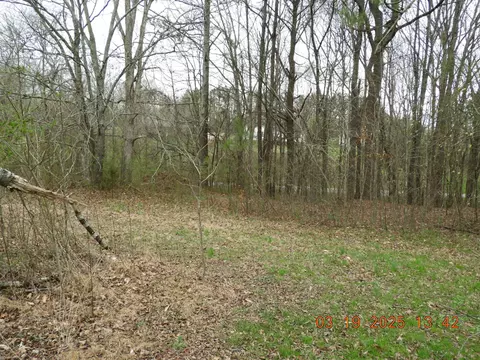 701 Oak Grove Rd, Goodspring, TN 38460 photo 14