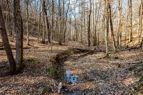 1627 Hurricane Crk, Linden, TN 37096