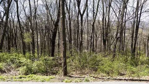 281 Whitehall Rd, Chattanooga, TN 37405