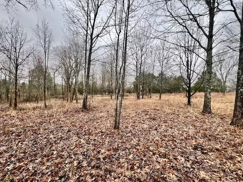 0 Old Shannon Rd, Lebanon, TN 37087