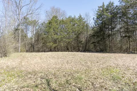 5155 Will Brown Rd, Spring Hill, TN 37174 photo 17