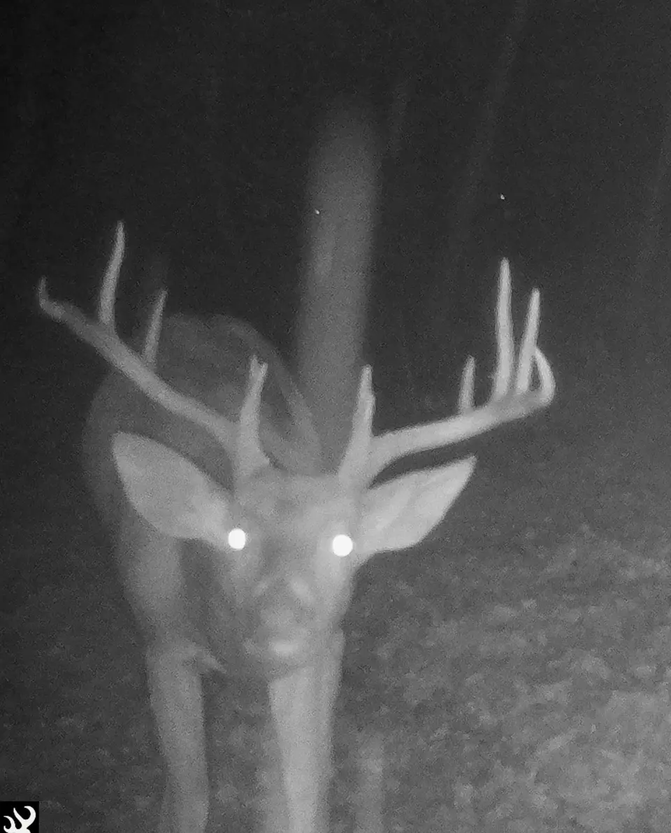 Other - 0 Big Sandy River Rd, Camden, TN 38320 photo 8 of 39