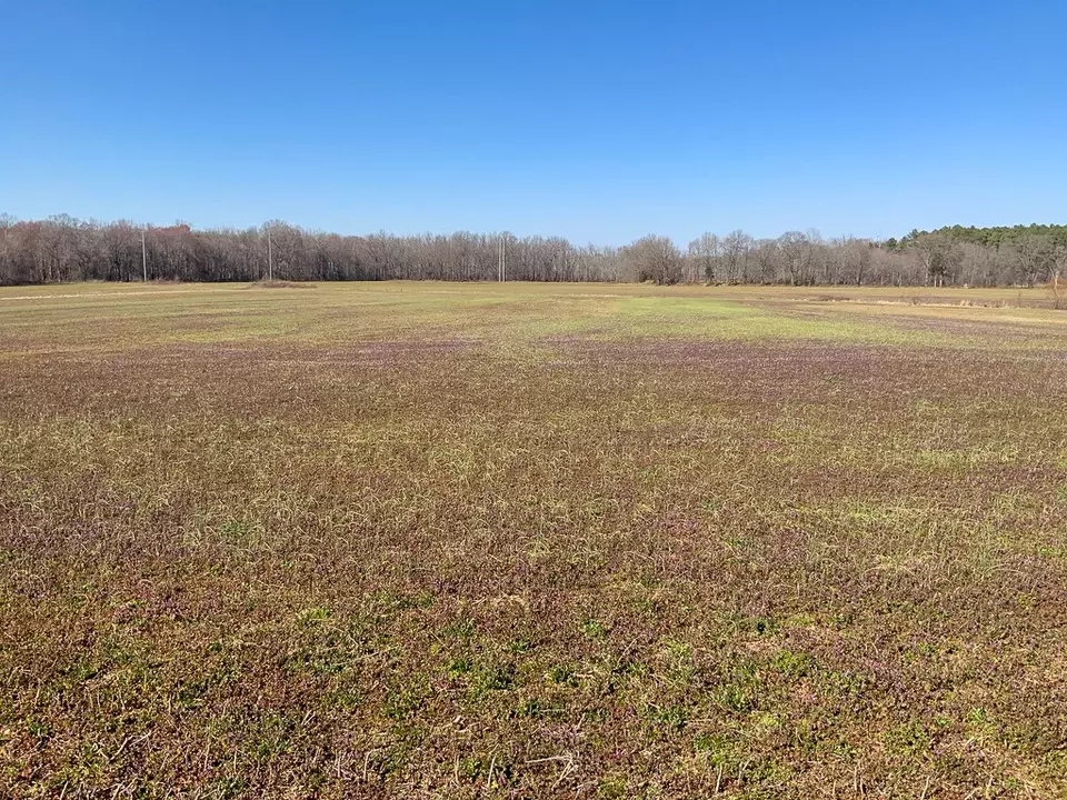 Other - 0 Big Sandy River Rd, Camden, TN 38320 photo 39 of 39