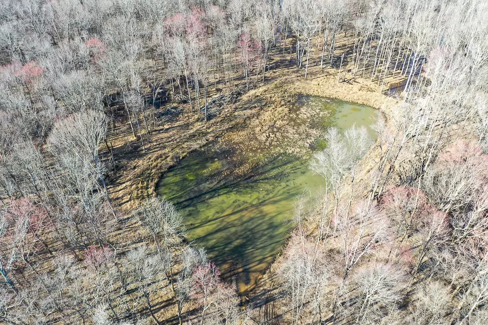 View/Area - 0 Big Sandy River Rd, Camden, TN 38320 photo 7 of 17