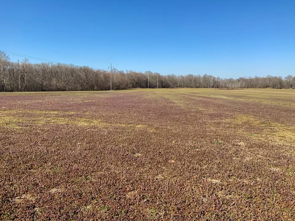 Other - 0 Big Sandy River Rd, Camden, TN 38320 photo 10 of 39