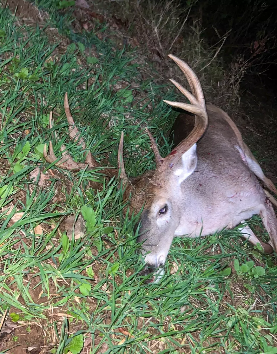 Other - 0 Big Sandy River Rd, Camden, TN 38320 photo 18 of 39