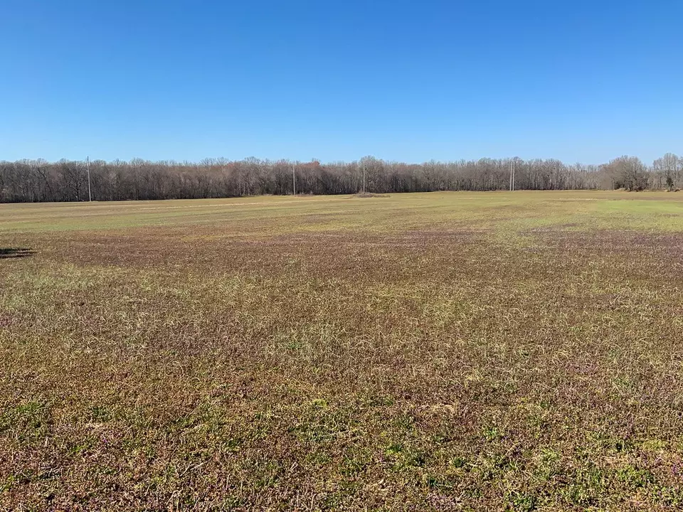 Other - 0 Big Sandy River Rd, Camden, TN 38320 photo 7 of 39