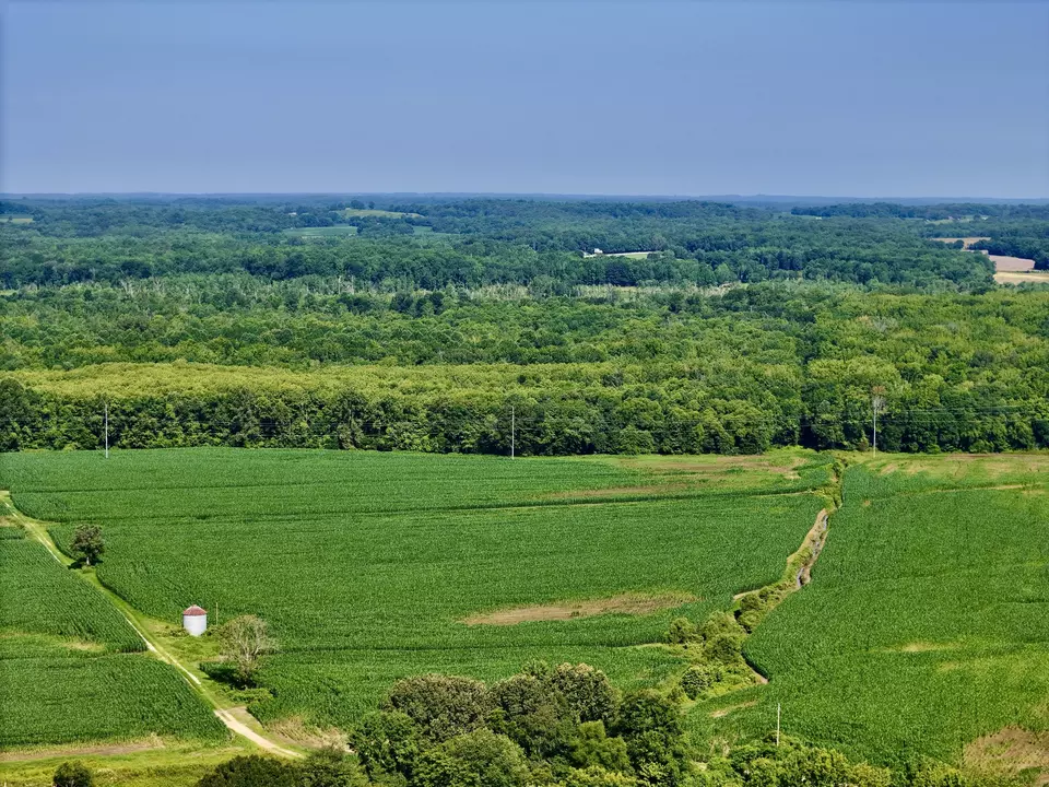 View/Area - 0 Big Sandy River Rd, Camden, TN 38320 photo 1 of 17
