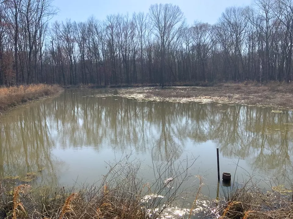 View/Area - 0 Big Sandy River Rd, Camden, TN 38320 photo 14 of 17