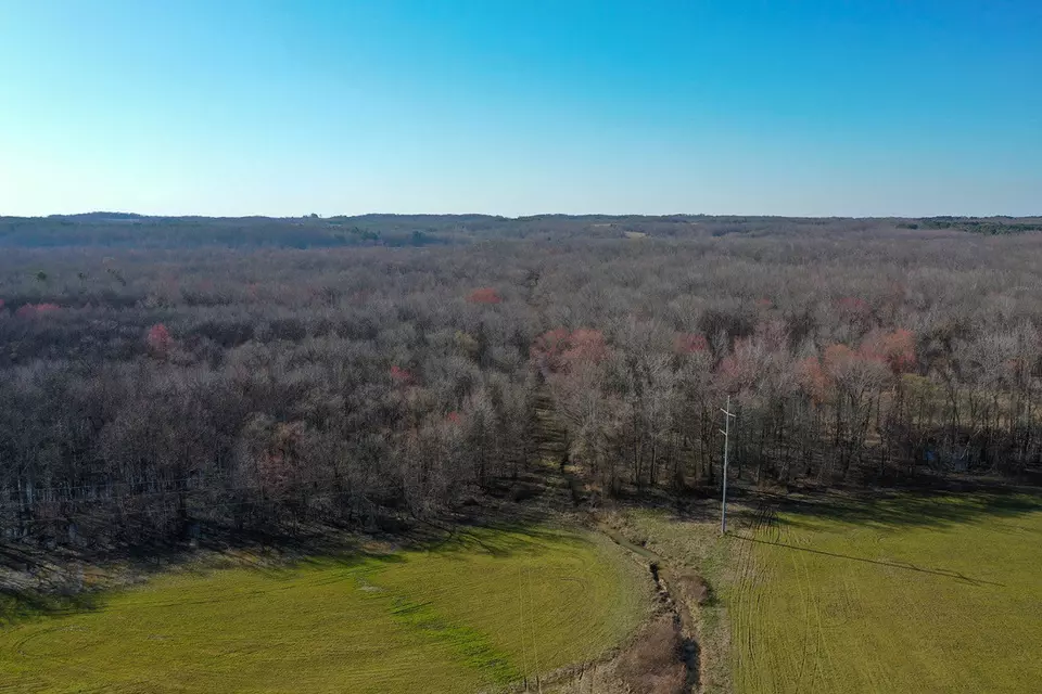 Other - 0 Big Sandy River Rd, Camden, TN 38320 photo 33 of 39
