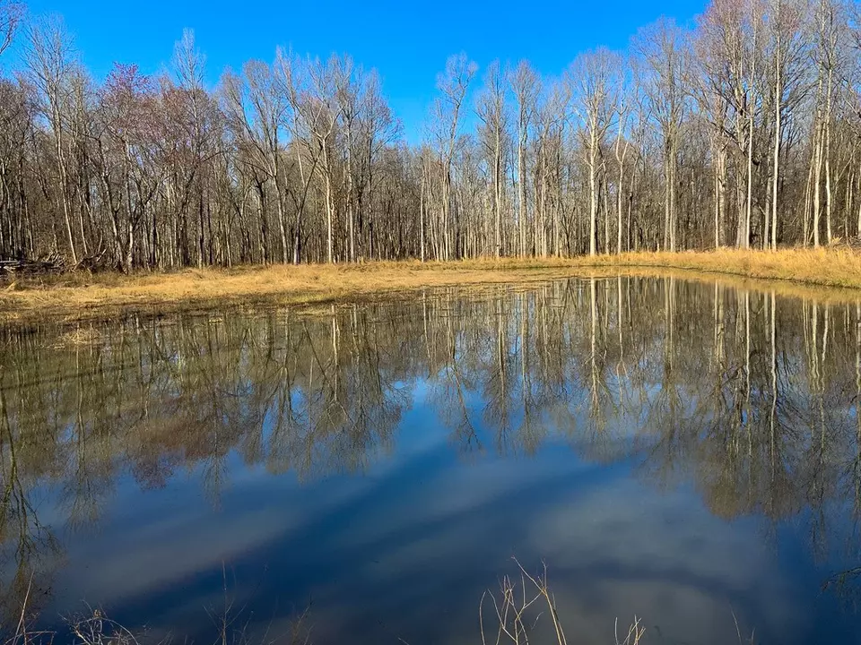 View/Area - 0 Big Sandy River Rd, Camden, TN 38320 photo 17 of 17