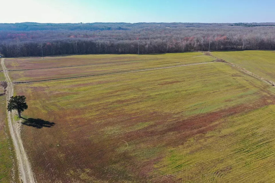 Other - 0 Big Sandy River Rd, Camden, TN 38320 photo 6 of 39