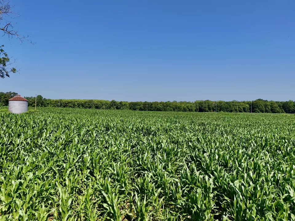 Other - 0 Big Sandy River Rd, Camden, TN 38320 photo 1 of 39
