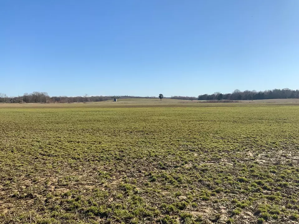 Other - 0 Big Sandy River Rd, Camden, TN 38320 photo 31 of 39