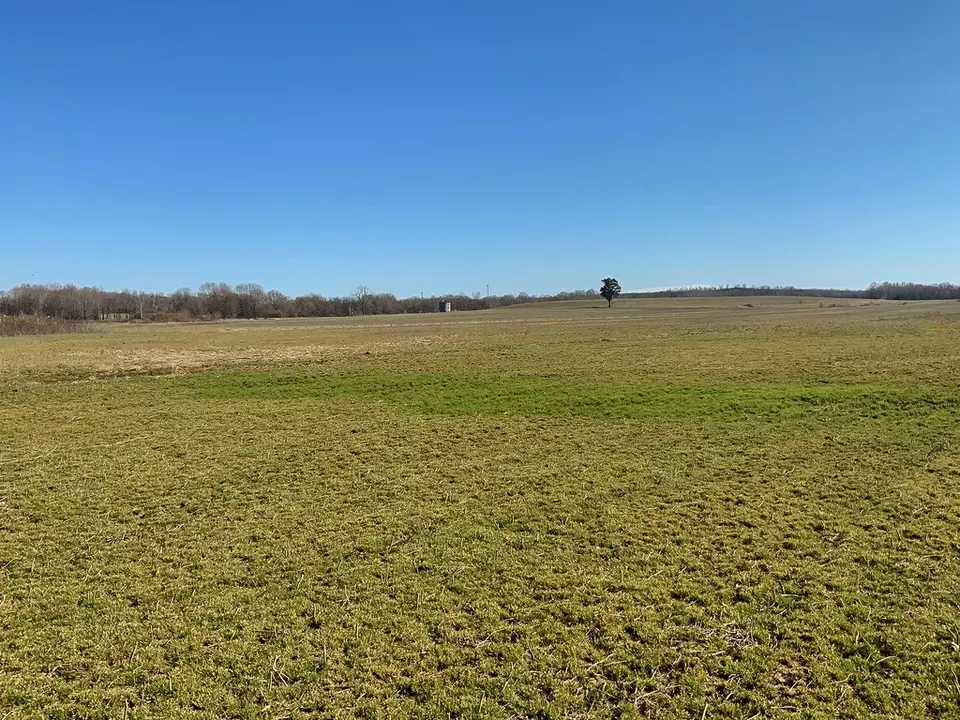 Other - 0 Big Sandy River Rd, Camden, TN 38320 photo 21 of 39