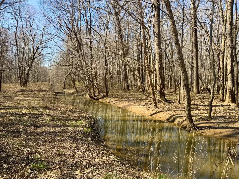 Other - 0 Big Sandy River Rd, Camden, TN 38320 photo 11 of 39