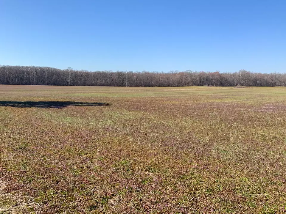 Other - 0 Big Sandy River Rd, Camden, TN 38320 photo 30 of 39