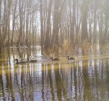 Other - 0 Big Sandy River Rd, Camden, TN 38320 photo 29 of 39