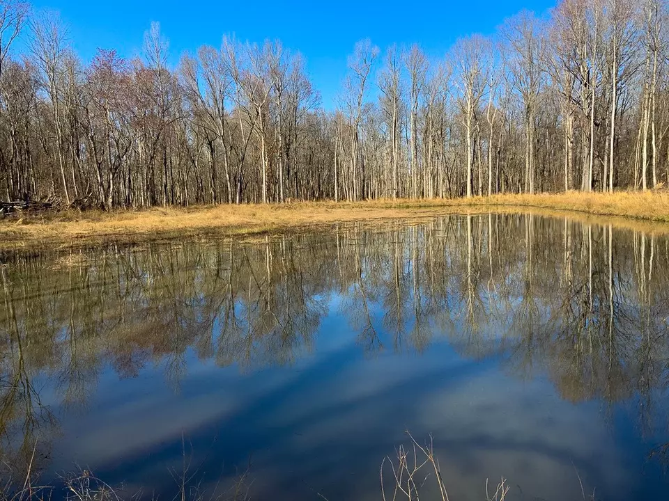 View/Area - 0 Big Sandy River Rd, Camden, TN 38320 photo 3 of 17