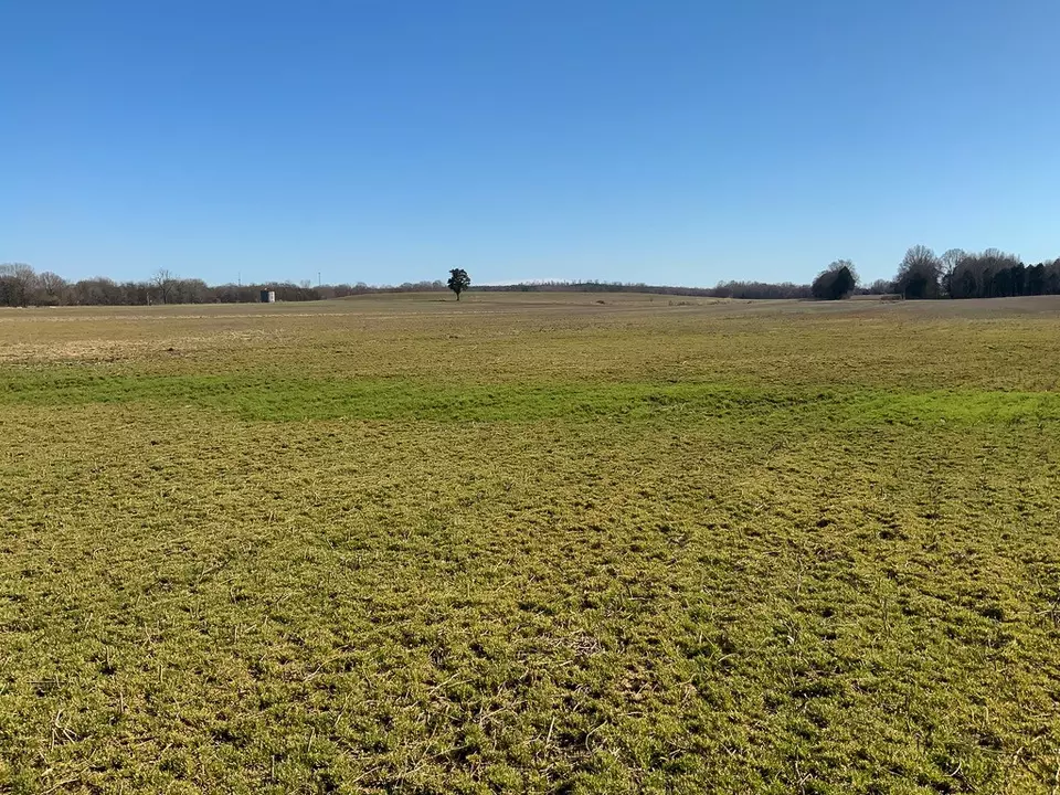 Other - 0 Big Sandy River Rd, Camden, TN 38320 photo 35 of 39