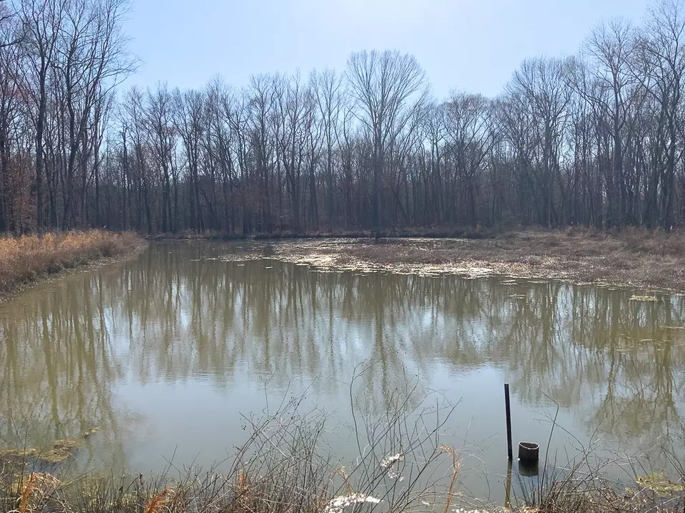 View/Area - 0 Big Sandy River Rd, Camden, TN 38320 photo 11 of 17