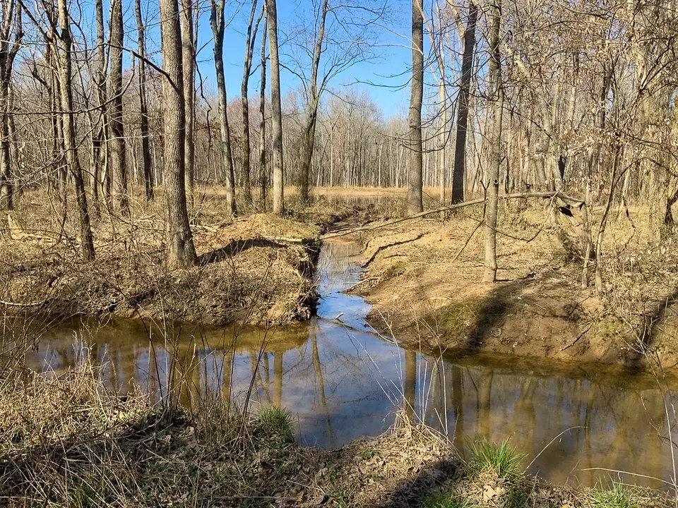 View/Area - 0 Big Sandy River Rd, Camden, TN 38320 photo 13 of 17
