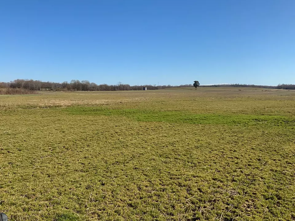 Other - 0 Big Sandy River Rd, Camden, TN 38320 photo 36 of 39