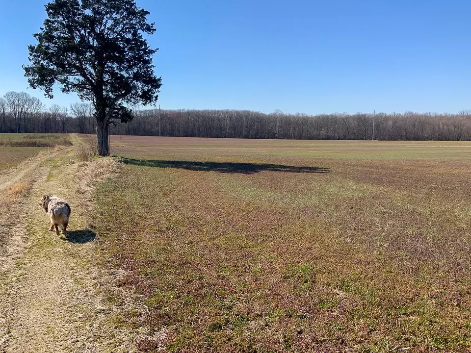 Other - 0 Big Sandy River Rd, Camden, TN 38320 photo 32 of 39