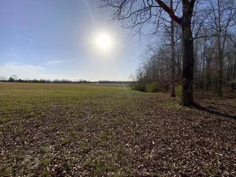 0 Swiss Colony Rd, Hohenwald, TN 38462