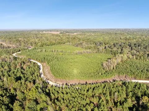 0 Cox Hollow Rd #LOT 37, Dover, TN 37058