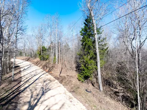 0 Chester Quinn Ln, Parsons, TN 38363