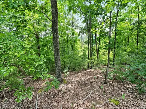 147 Gage Ln, Ocoee, TN 37361 photo 5