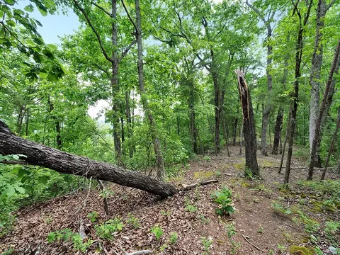 147 Gage Ln, Ocoee, TN 37361 photo 6