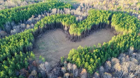0 Hurricane Creek Rd, Linden, TN 37096